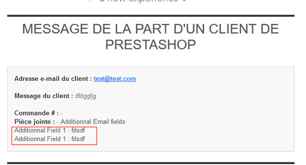 Champs dans email