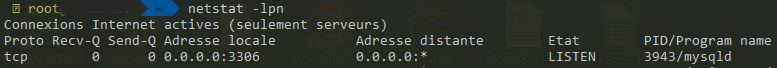 NetStat mysql