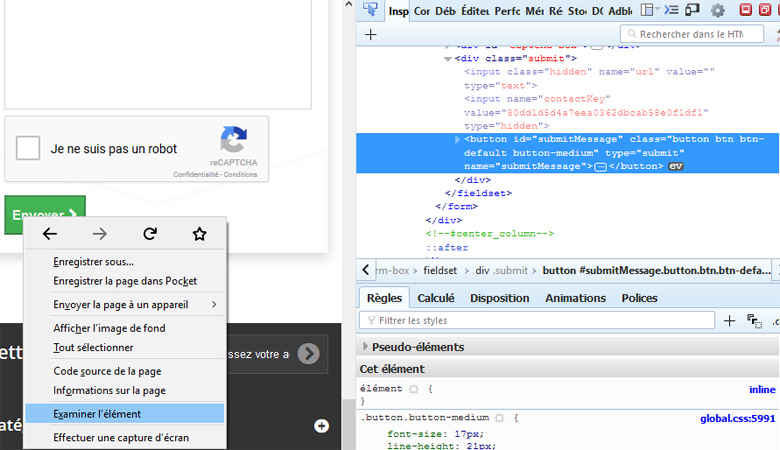 Inspecteur bouton formulaire